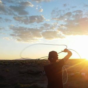 Meet your Posher, Tanner